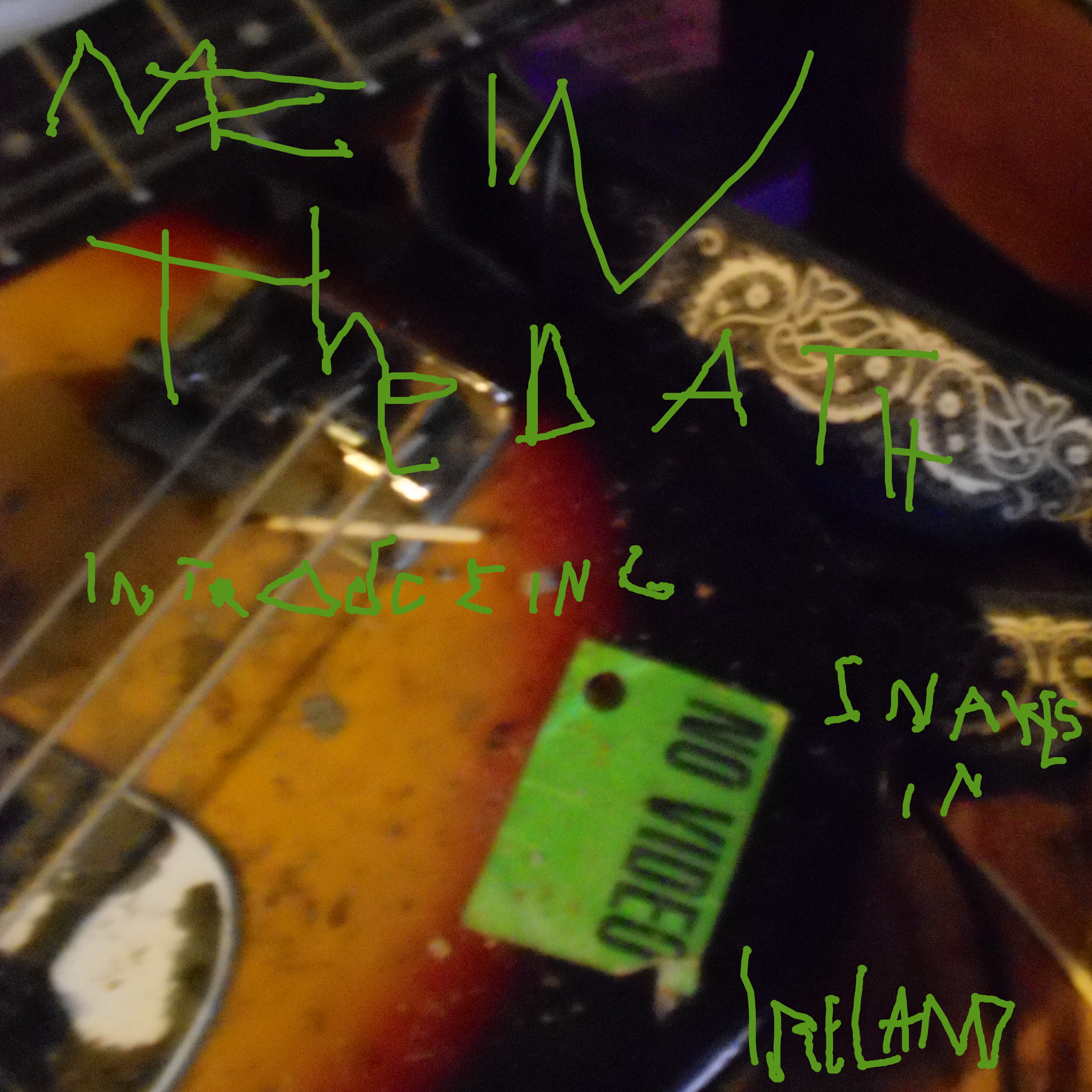 Introducing Snakes In Ireland