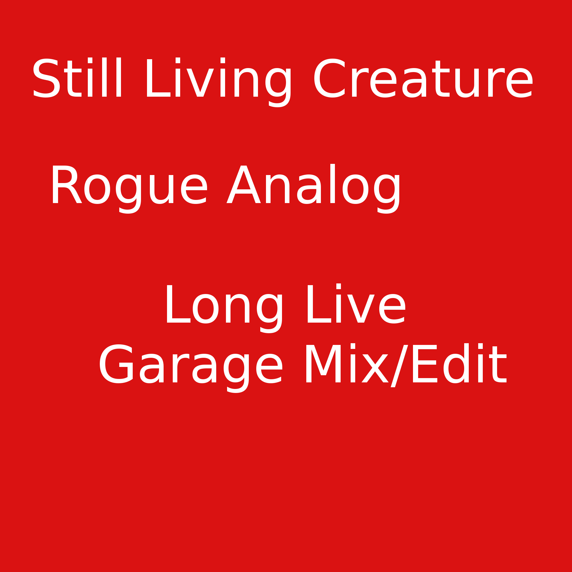 Rogue Analog Long Live Garage Edit/Mix