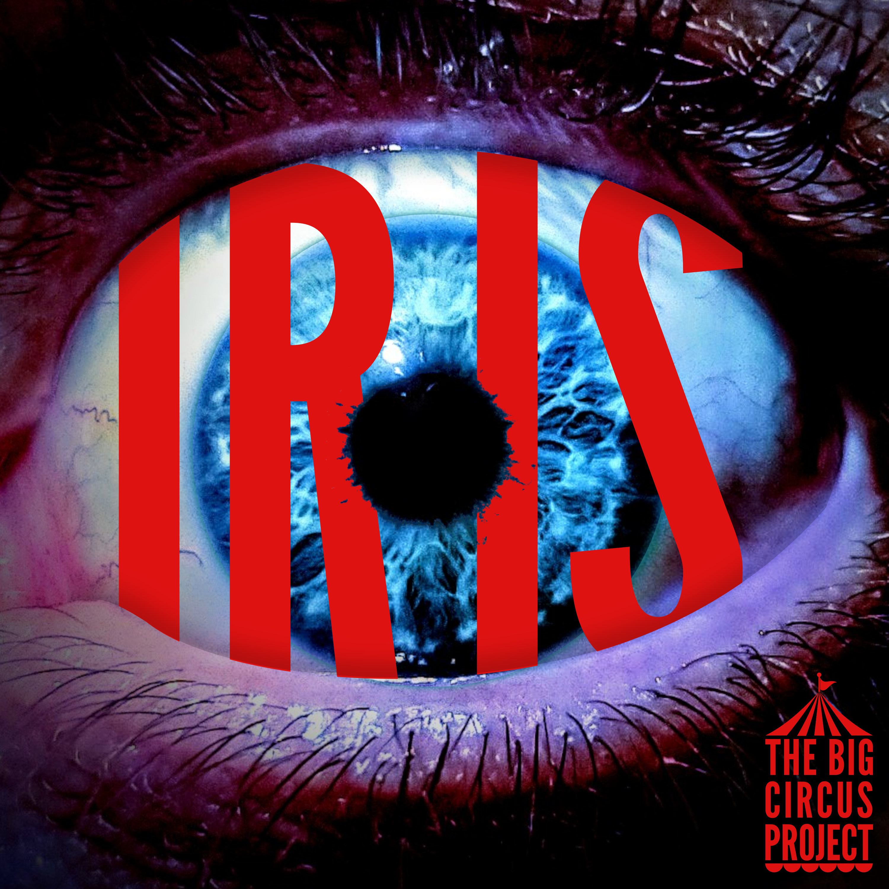 The Big Circus Project – Iris